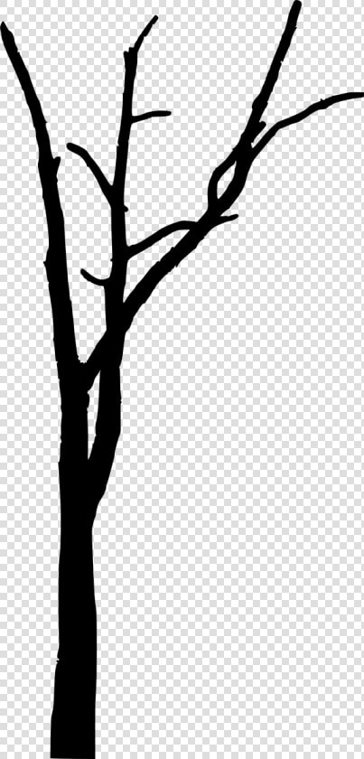 Trees Without Leaves Png   Spooky Trees Silhouette Bare  Transparent PngTransparent PNG