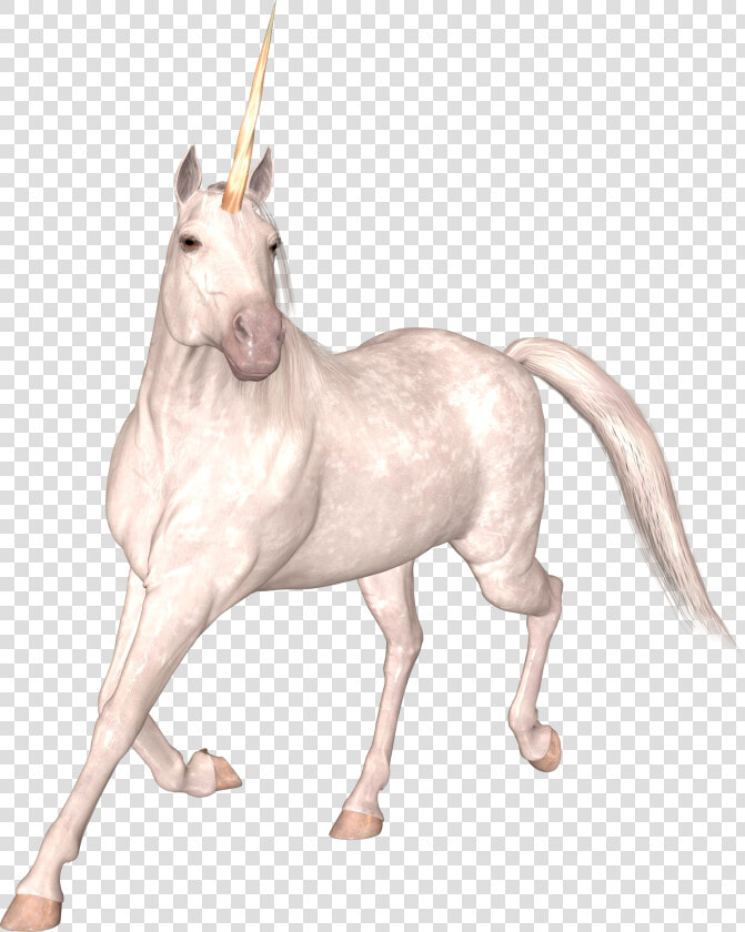 Unicorn Png   Единорог Пнг  Transparent PngTransparent PNG