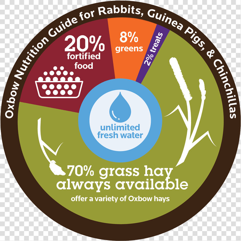 Hamster Clipart Guinea Pig   Oxbow Rabbit Feeding Guide  HD Png DownloadTransparent PNG