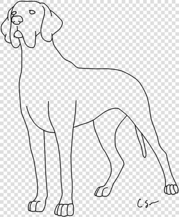 Coloring Pages For Kids And For Adults   Coloring Pictures Of Great Dane  HD Png DownloadTransparent PNG