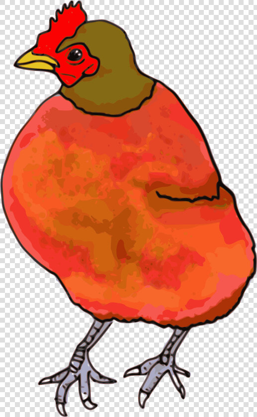 Red Hen Clip Arts   Pink Chicken Png  Transparent PngTransparent PNG