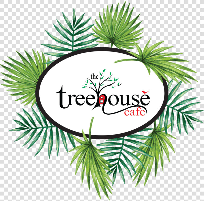 Treehouse Cafe Ulladulla  HD Png DownloadTransparent PNG