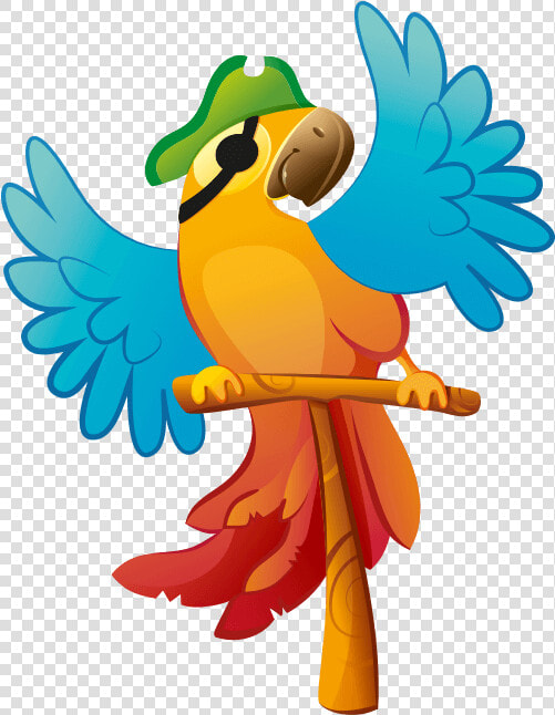 Pappagallo Pirata Disegno  HD Png DownloadTransparent PNG