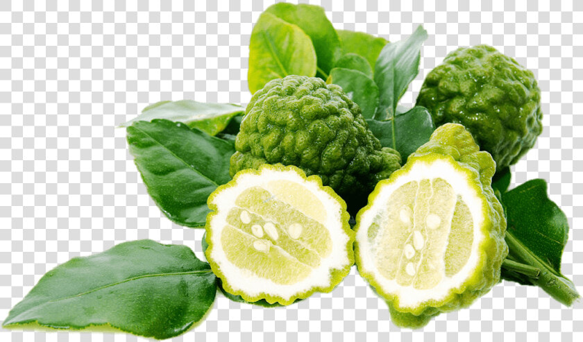 Kaffir Lime   Kaffir Lime Png  Transparent PngTransparent PNG