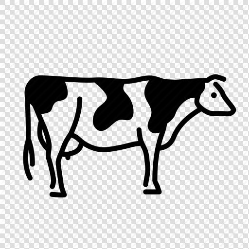 Cow   Transparent Beef Cow Icon  HD Png DownloadTransparent PNG