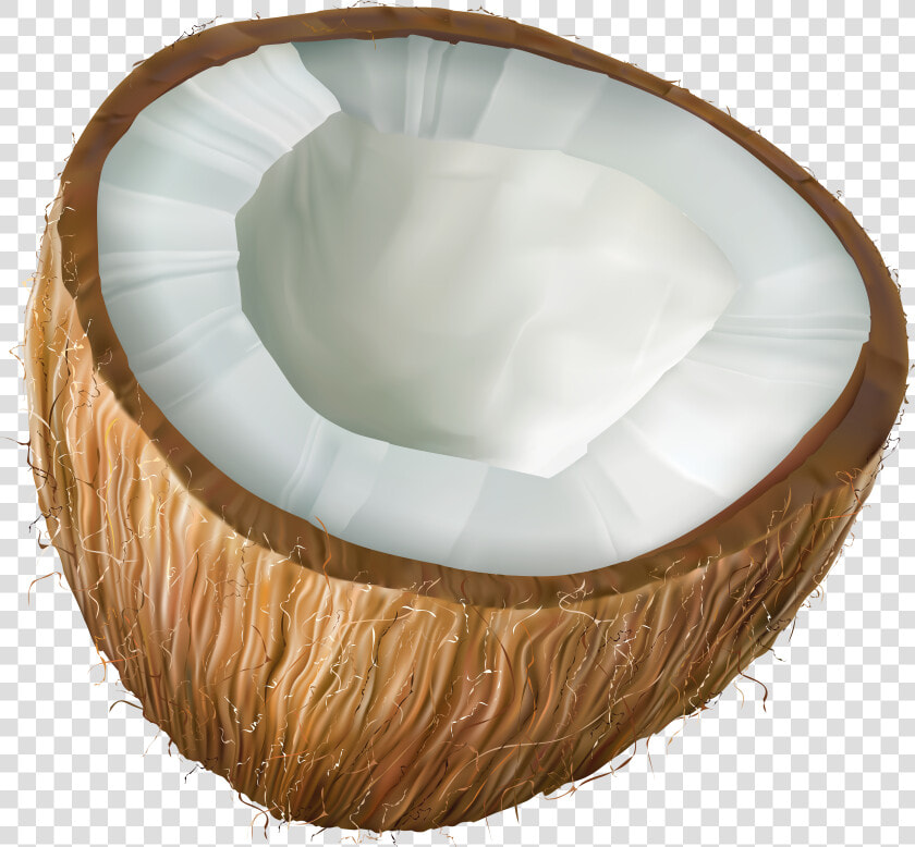 Transparent Coconut Bra Png   Transparent Background Coconut Clipart  Png DownloadTransparent PNG