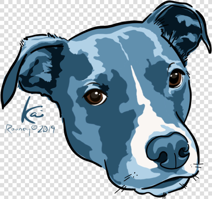 Kai No Border   Staffordshire Bull Terrier  HD Png DownloadTransparent PNG