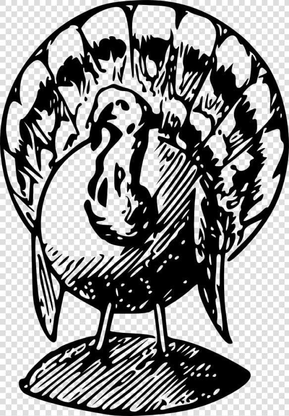 Turkey Bw   Transparent Black And White Turkey Clipart  HD Png DownloadTransparent PNG