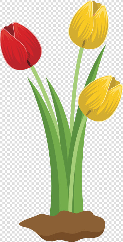 Tulips   Tulip Flower Clipart  HD Png DownloadTransparent PNG