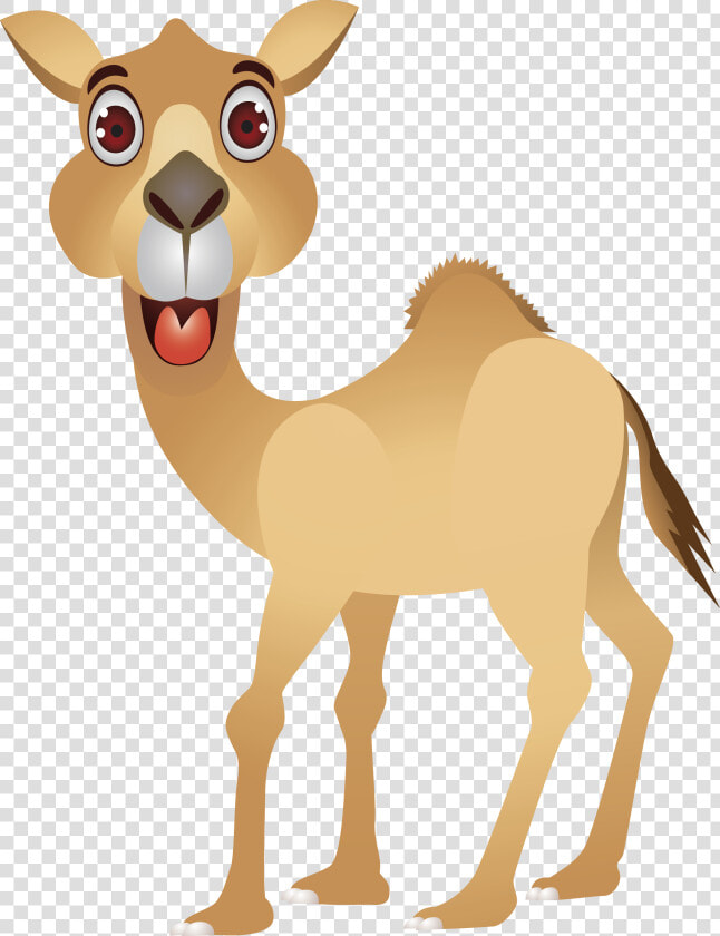 Camel Cartoon Humour Clip Art   Cartoon Camel Images Free  HD Png DownloadTransparent PNG