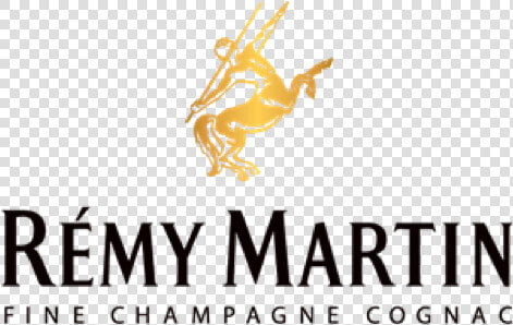 Remy Martin  HD Png DownloadTransparent PNG