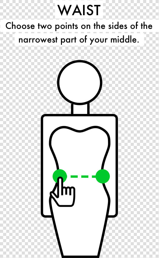 Waist   Illustration  HD Png DownloadTransparent PNG