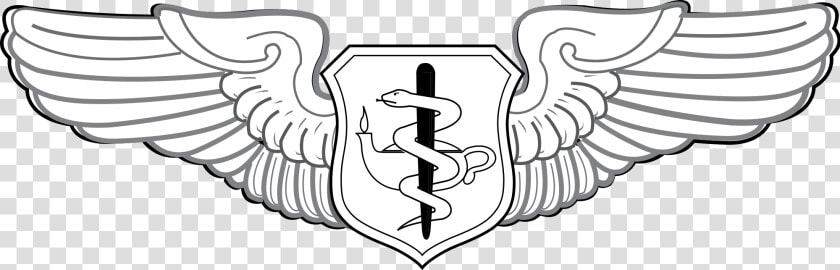 United States Air Force Flight Nurse Badge   Senior Enlisted Aircrew Wings  HD Png DownloadTransparent PNG