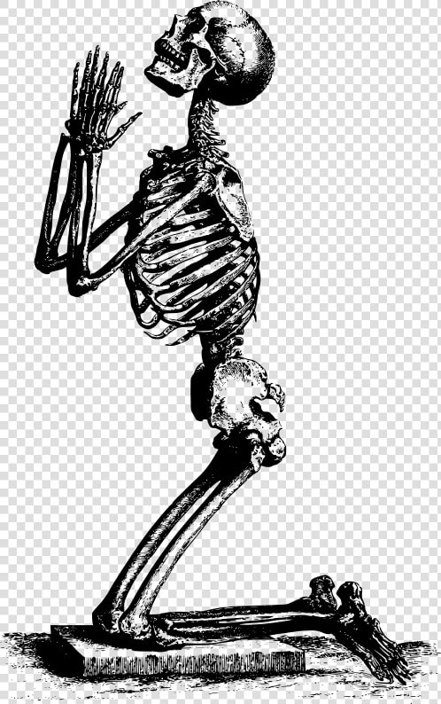 Skeleton On Knees Praying  HD Png DownloadTransparent PNG