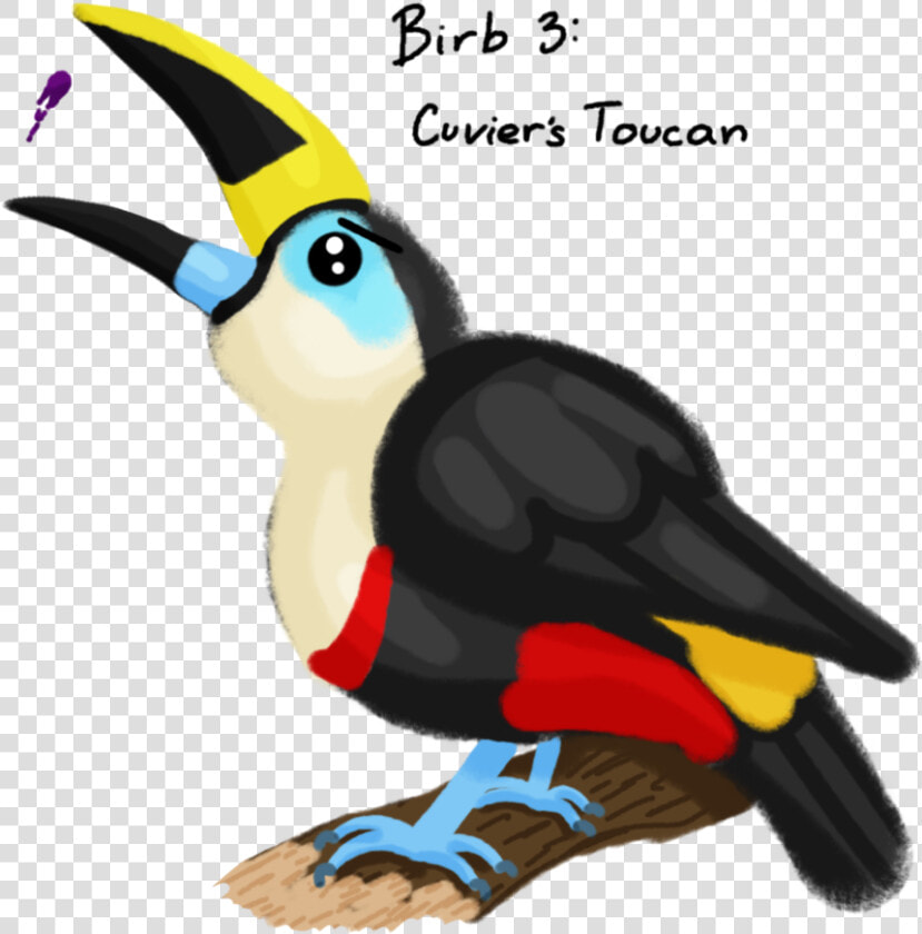 Collection Of Free Birds Download On Ubisafe   Toucan  HD Png DownloadTransparent PNG