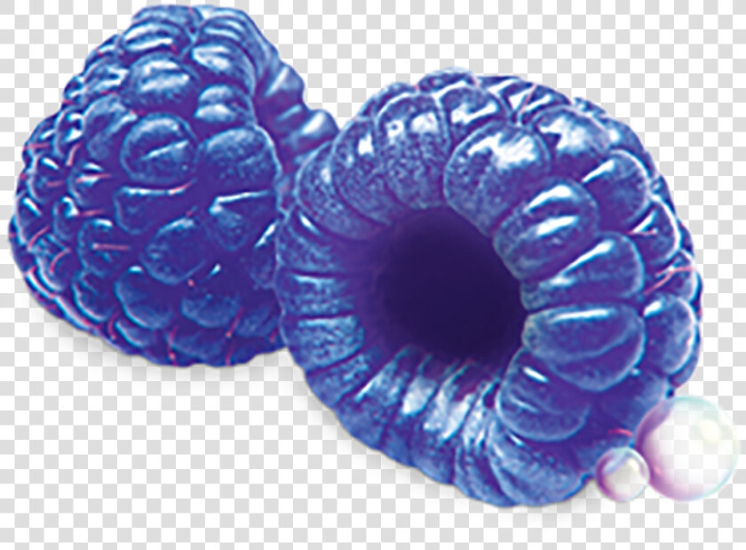 Blue Raspberry Png   Transparent Blue Raspberry Png  Png DownloadTransparent PNG