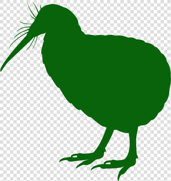 Flightless Bird  HD Png DownloadTransparent PNG