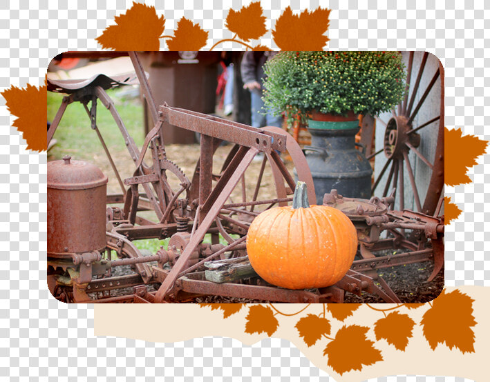 Transparent Hayride Png   Pumpkin  Png DownloadTransparent PNG