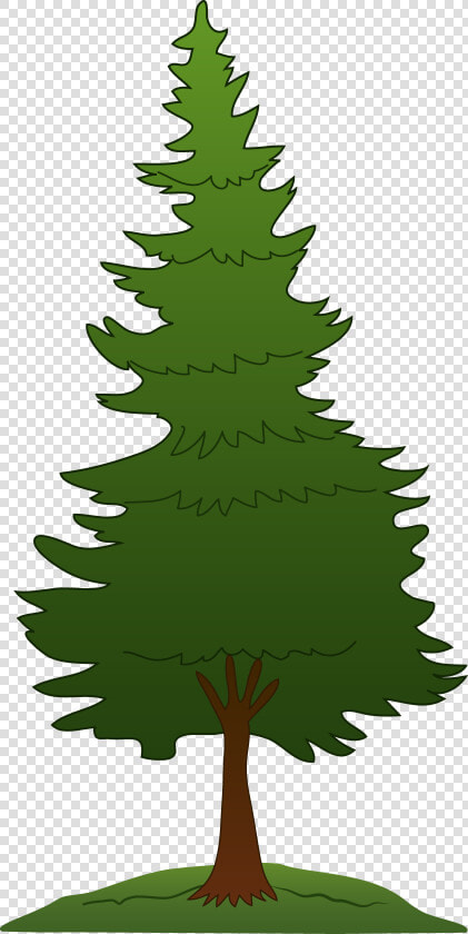 Pine Tree Clipart Png Free   Pine Tree Clipart Png  Transparent PngTransparent PNG