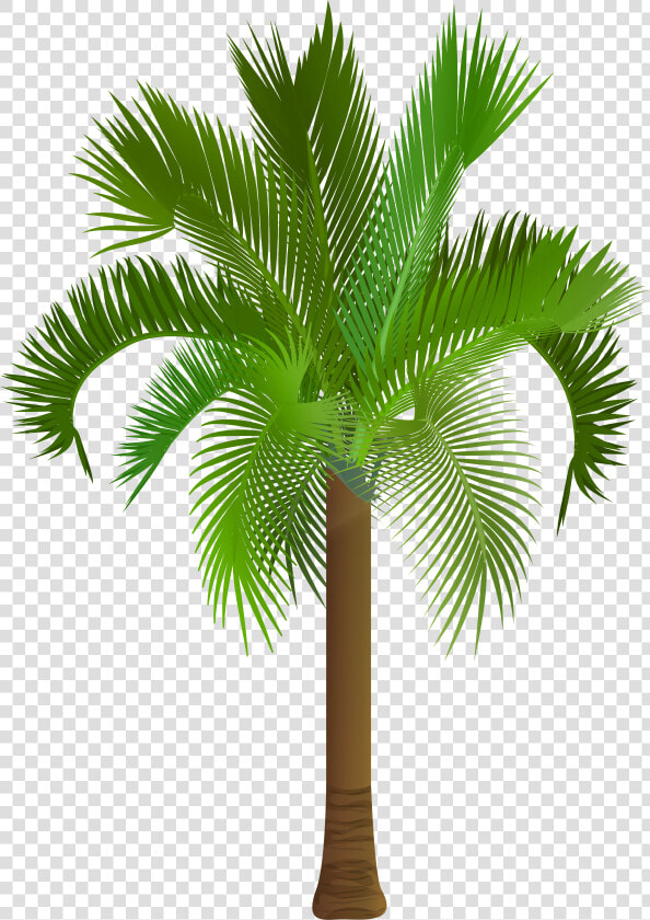 Palm Tree Clip Art Png Image  Is Available For Free   Royalty Free Palm Trees  Transparent PngTransparent PNG