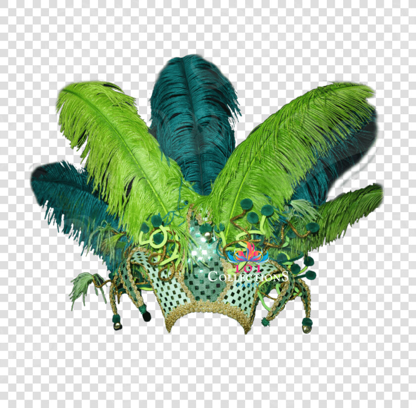 Corona De Plumas Png  Transparent PngTransparent PNG