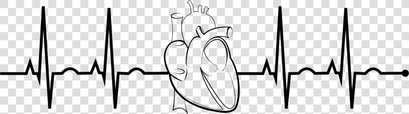 Ekg Realistic Heart Clip Arts   Ekg Clip Art  HD Png DownloadTransparent PNG