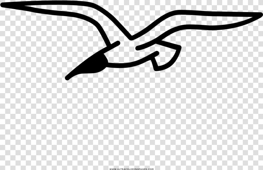 Transparent Seagull Png   Cómo Dibujar A Una Gaviota  Png DownloadTransparent PNG