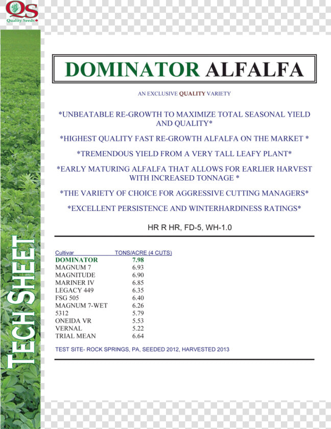 Dominator alfalfa   Alfalfa  HD Png DownloadTransparent PNG