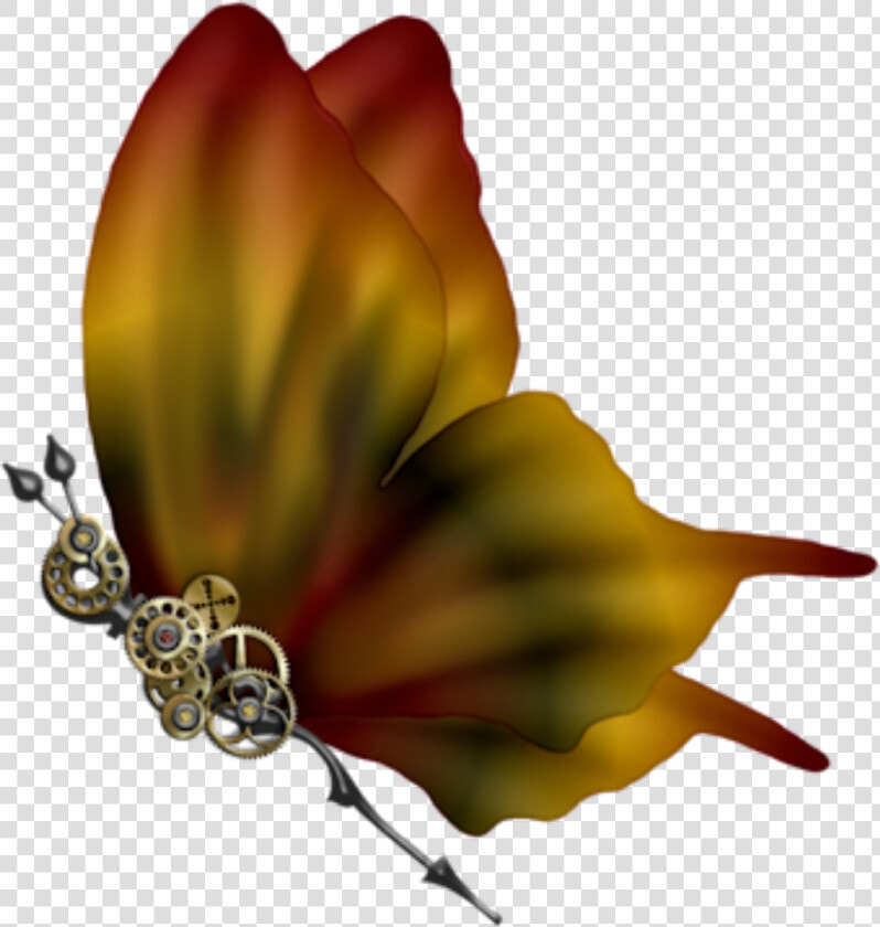 Transparent Steampunk Butterfly Png   Butterfly  Png DownloadTransparent PNG