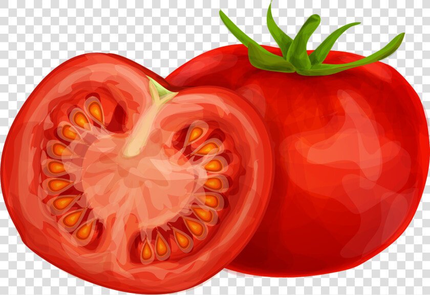 Tomato Clipart Png Image 01   Tomato Clipart  Transparent PngTransparent PNG