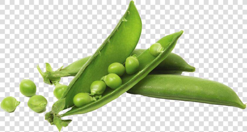 Snap Pea  HD Png DownloadTransparent PNG