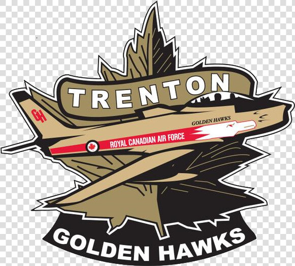 Easy Win For Trenton   Trenton Golden Hawks Logo  HD Png DownloadTransparent PNG