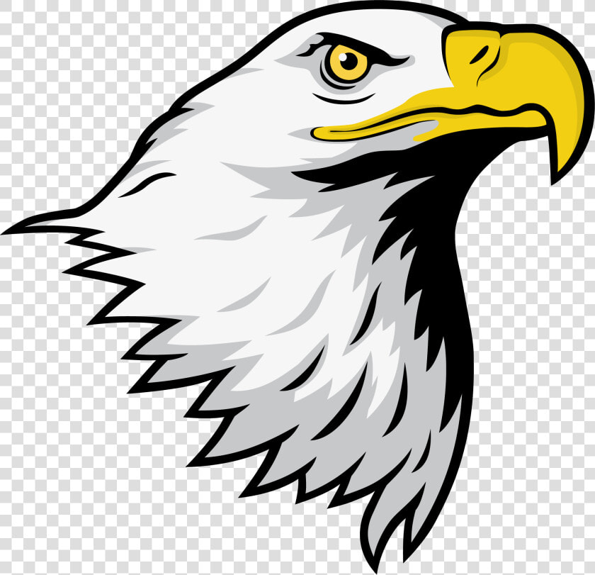 Bald Eagle Head Clipart   Palm Glades Preparatory Academy  HD Png DownloadTransparent PNG