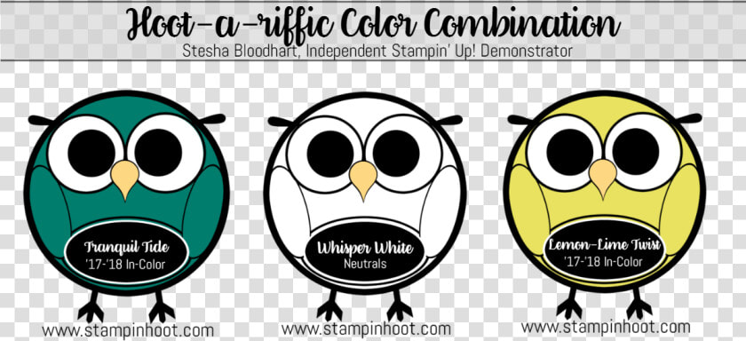 Hoot A Riffic Color Combinations Tranquil Tide  Whisper   Color Scheme  HD Png DownloadTransparent PNG