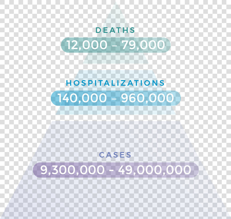 Between 12 000 79 000 Deaths From Flu In The U   Christmas Tree  HD Png DownloadTransparent PNG