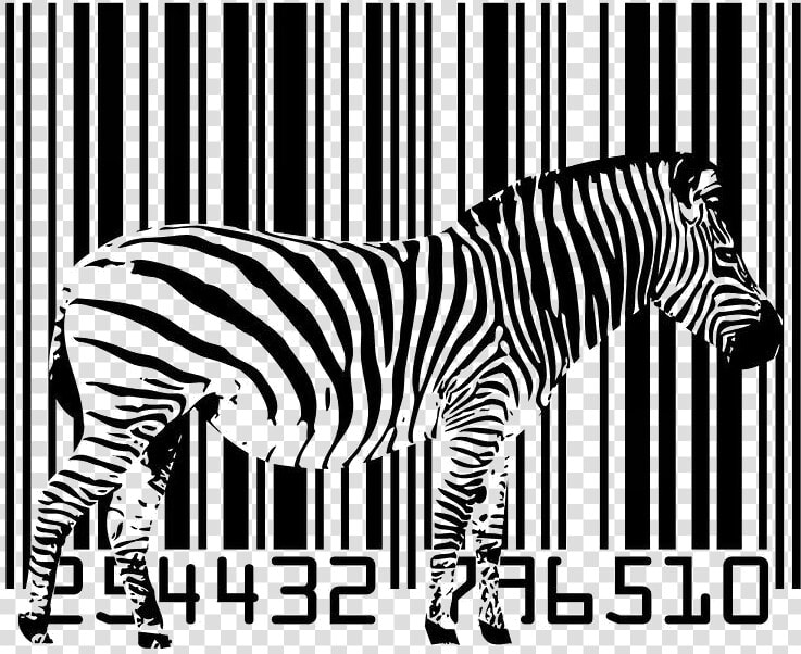 Tener En Cuenta El Tamaño Para No Perder Nuestro Código   Zebra Barcode  HD Png DownloadTransparent PNG