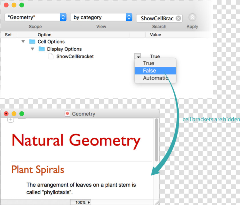 Natura Bio Science  HD Png DownloadTransparent PNG