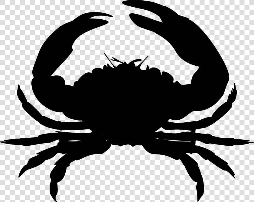 Crab Silhouette Clip Art   Transparent Background Crab Clipart  HD Png DownloadTransparent PNG