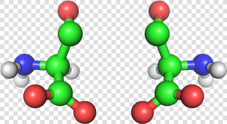 Amino Acid Structure Png Clipart   Amino Acids Png  Transparent PngTransparent PNG