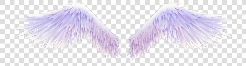  wings  angel  halo  neon  light  effect  freetoedit   Pigeons And Doves  HD Png DownloadTransparent PNG