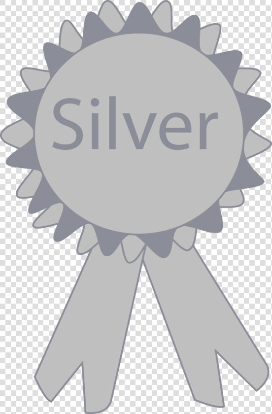 Silver Medal Graphic Class Img Responsive Lazyload   Sign  HD Png DownloadTransparent PNG