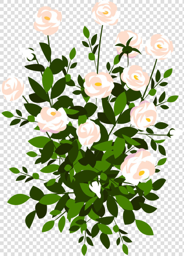 Whte Rose Bush Png Clipart Picture   Rose Bush Clipart Png  Transparent PngTransparent PNG