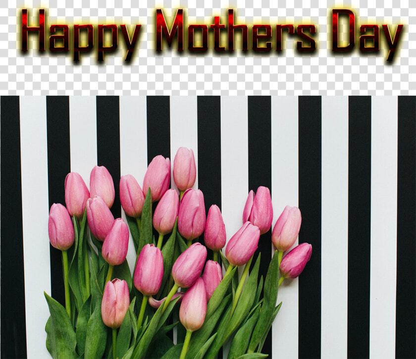 Mothers Day Greetings Png Free Background   Sprenger  39 s Tulip  Transparent PngTransparent PNG