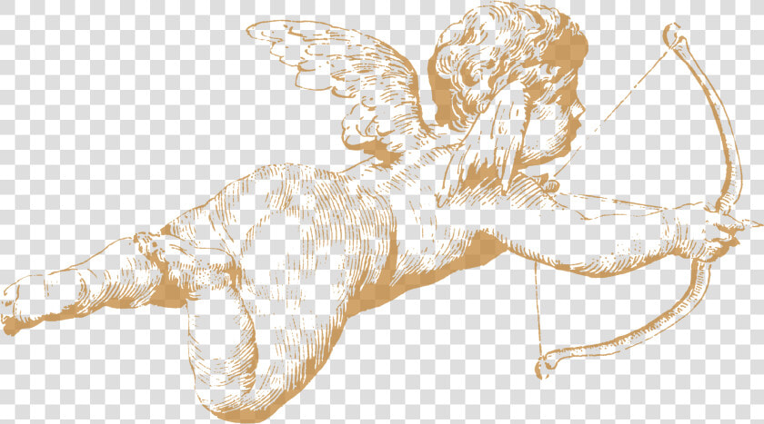 Transparent Cherub Wings Png   Cherub Drawing  Png DownloadTransparent PNG