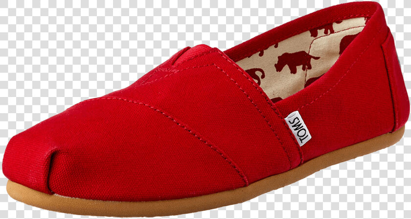 Precio Zapatos Toms Mujer   Toms Zapatos  HD Png DownloadTransparent PNG