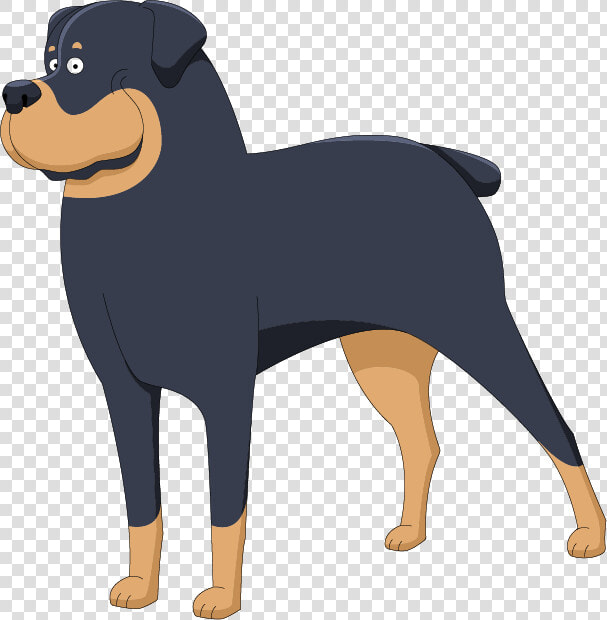 Rottweiler  HD Png DownloadTransparent PNG