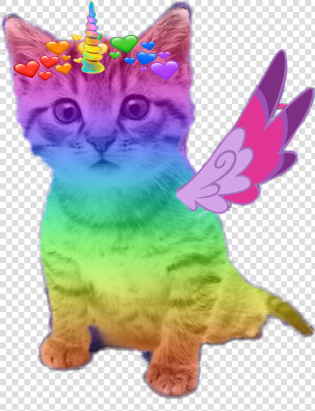  kitty  rainbow  cute  kitten  horn  wings  adorable   Rainbow Cat Outer Space  HD Png DownloadTransparent PNG