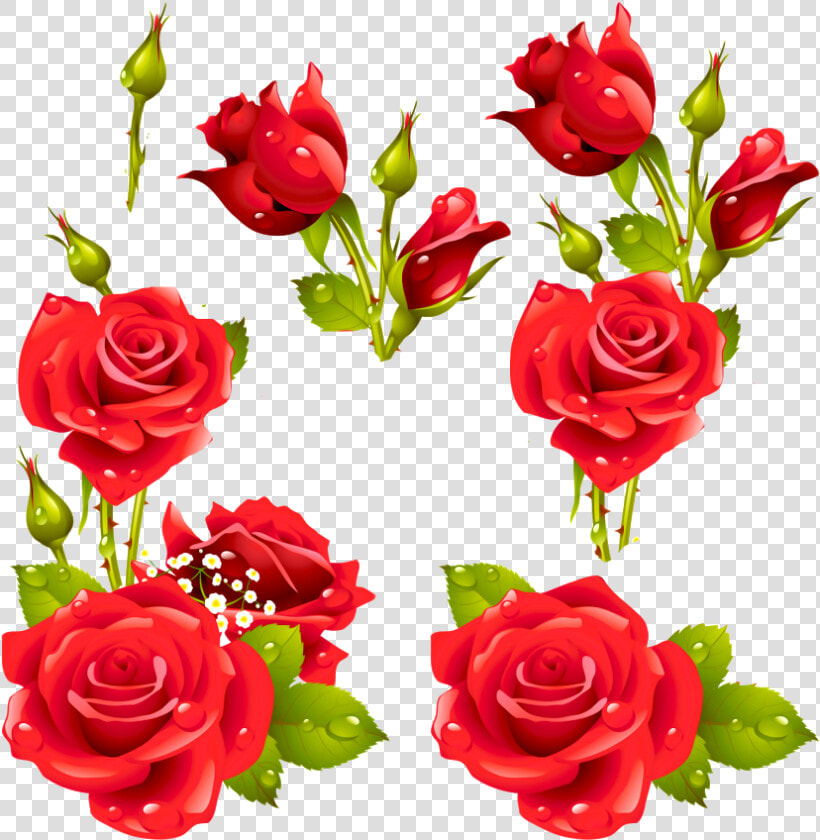 Decora Con Flores   Rose Vector Free Download  HD Png DownloadTransparent PNG