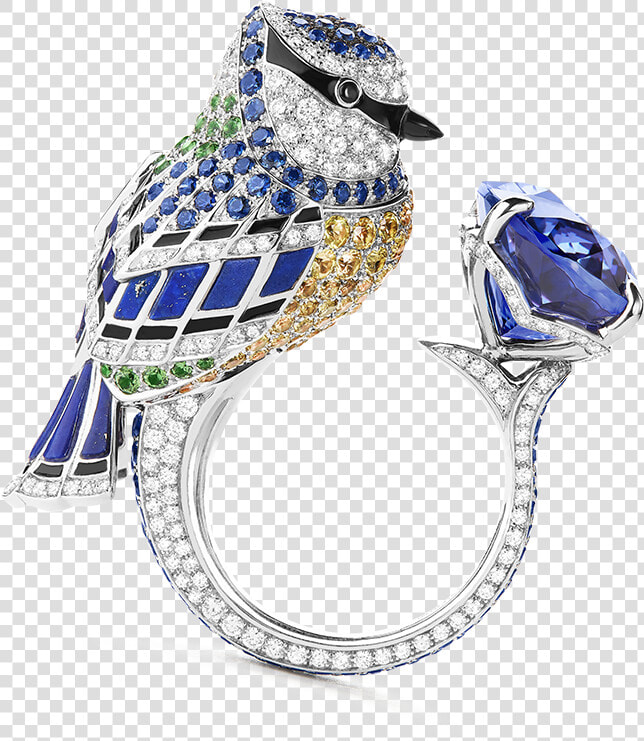 Animal Jewellery Boucheron  HD Png DownloadTransparent PNG