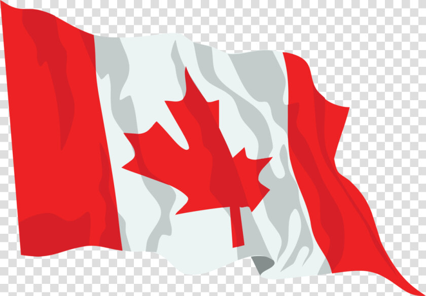 Plant leaf red Flag   Waving Canadian Flag Png  Transparent PngTransparent PNG